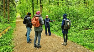 [Translate to English:] Waldcoaching Teilnehmende Frühling Wald